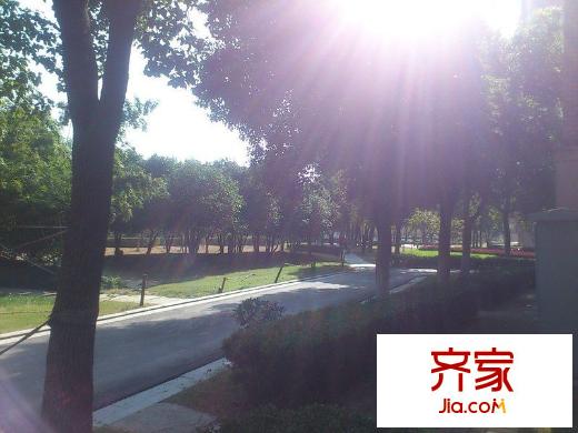 S半島外景圖 