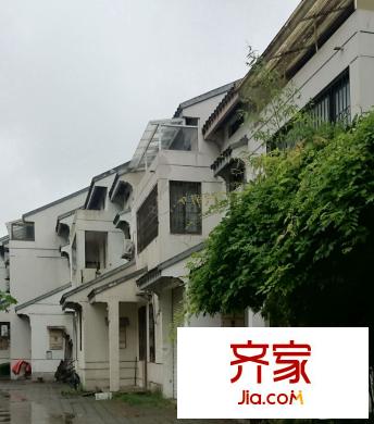 佳運(yùn)花園別墅實(shí)景圖