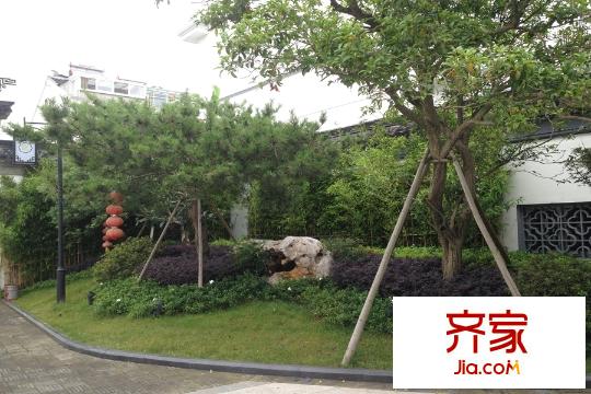 上飲合院實景圖別墅2015.5.28
