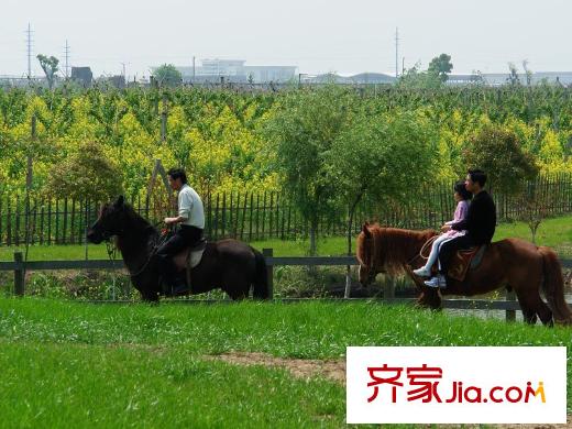 英郡跑馬場（2011.6）