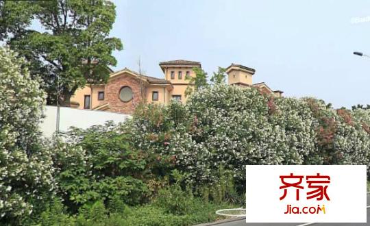 東寶巴黎逸墅外景圖