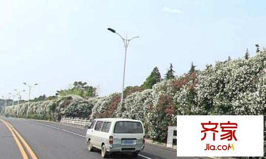 東寶巴黎逸墅外景圖