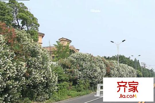 東寶巴黎逸墅外景圖