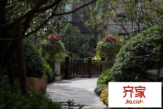 金輝九緯實景圖項目綠化2012.3.14