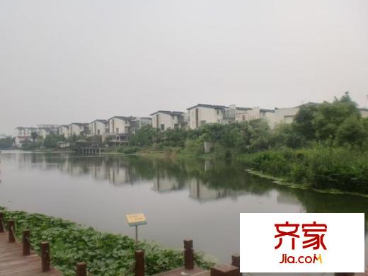 朗悅灣別墅外景圖 