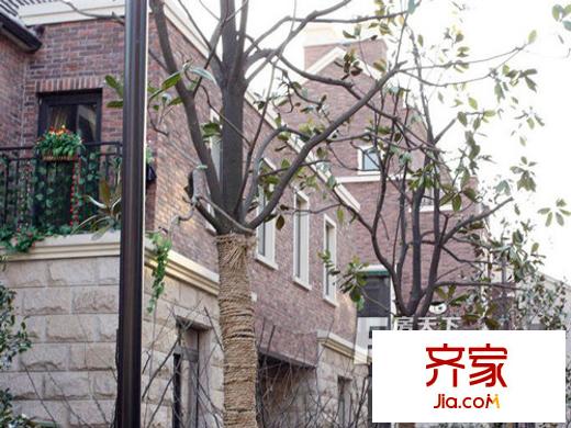 海蘭堡外景圖
