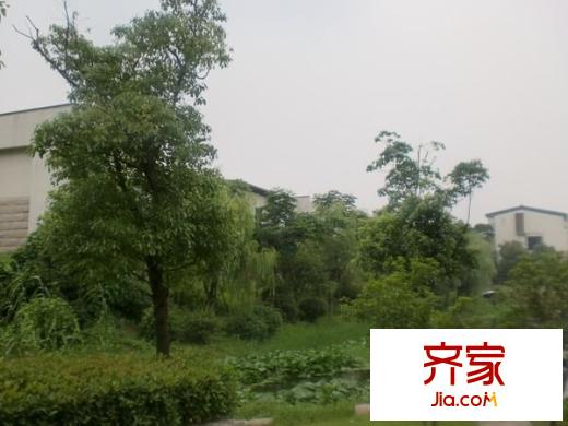 朗悅灣別墅外景圖 