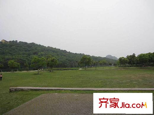新創(chuàng)大河山二期配套圖項(xiàng)目向東2公里新區(qū)公園