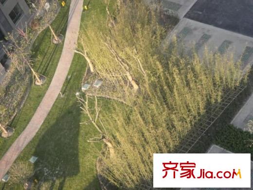 啟航社晶彩配套圖綠地 周邊配套