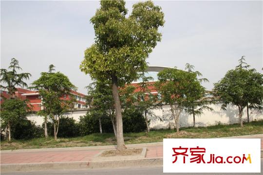 保利悅平方米項目西2公里獨墅湖小學