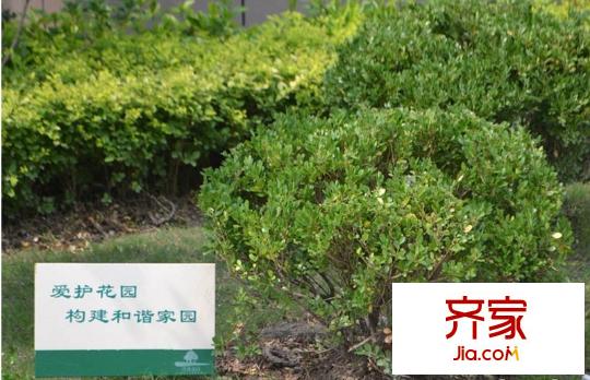 博雅景園外景圖 