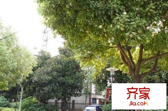 江陵小區(qū)外景圖
