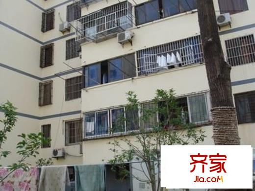 玉龍新村