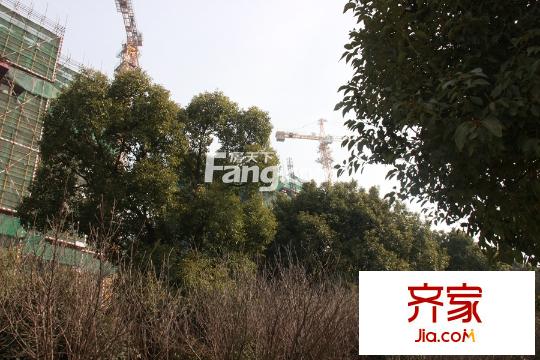 優(yōu)公館實(shí)景圖6#高層外立面（2015.3.13）