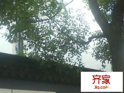 吉慶花園外景圖