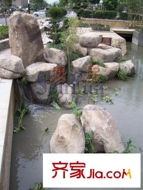陽光水世界石頭