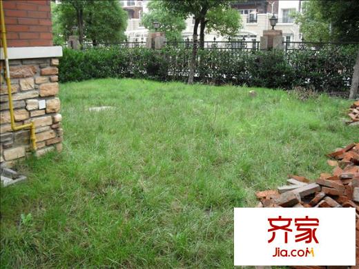 君地上郡