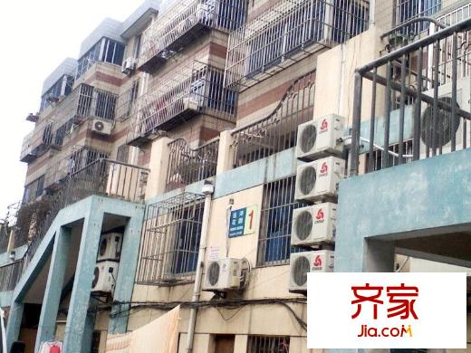遠(yuǎn)洋花園外景圖 
