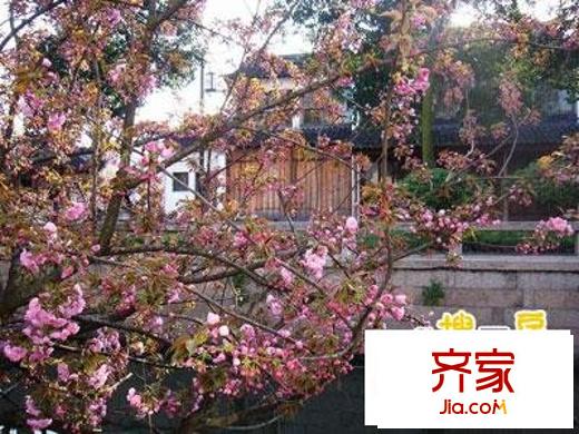 平江路小區(qū)外景圖平江路