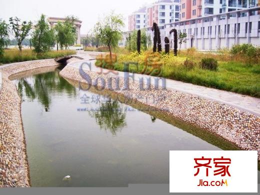 江南春堤玫瑰苑