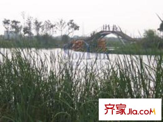 吉田國際廣場公園美景2