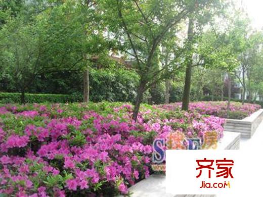 金水灣
