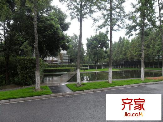 金水灣外景圖 