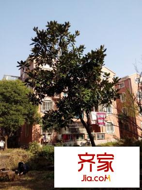 太湖之春外景圖 