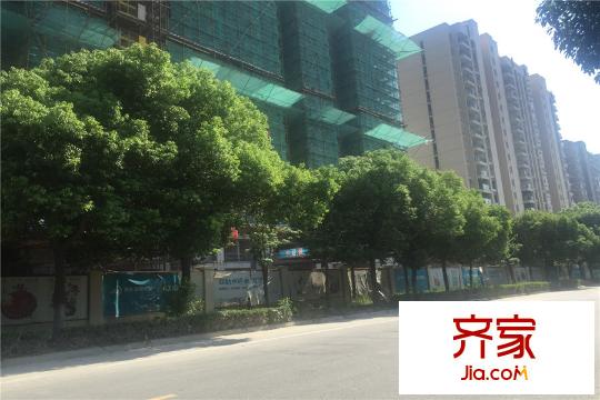 偉業(yè)迎春麗家實(shí)景圖項(xiàng)目實(shí)景2015-07-30