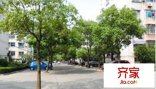 鱸鄉(xiāng)二村外景圖 