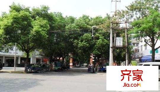鱸鄉(xiāng)二村外景圖 