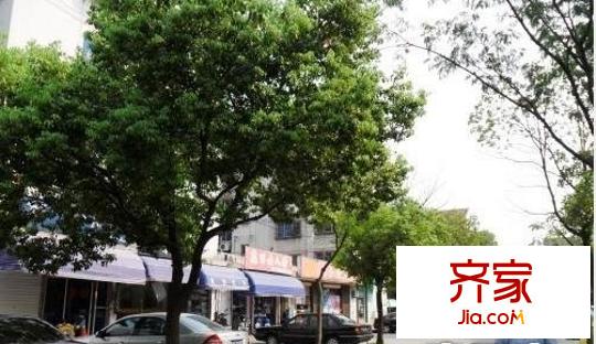 鱸鄉(xiāng)二村外景圖 