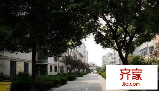 鱸鄉(xiāng)二村外景圖 