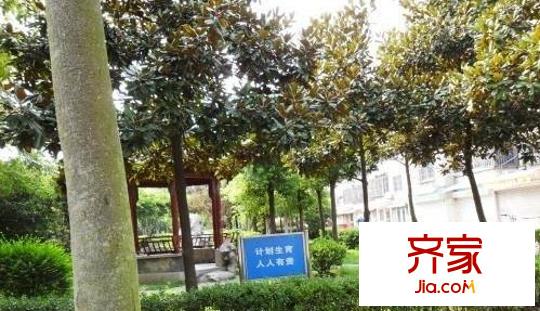 鱸鄉(xiāng)二村外景圖 