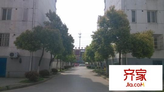 陽山花苑六區(qū)外景圖 