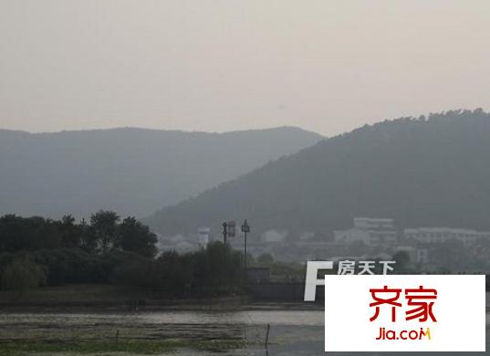 楊樹街