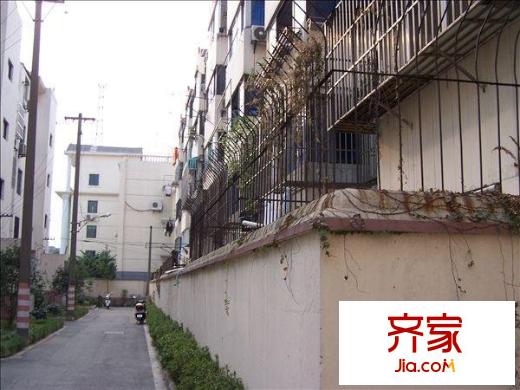 花卉小區(qū)外景圖