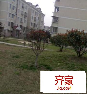 夷亭新村