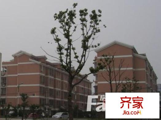 淞澤家園七區(qū)外景圖1274667873063_000