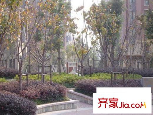 綠地21城D區(qū)配套圖樨桂園 周邊配套