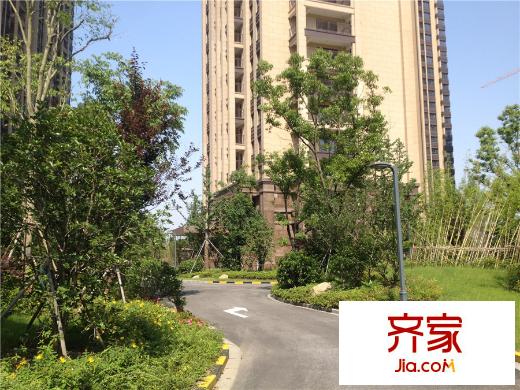 高新地產(chǎn)天之運(yùn)一期景觀實(shí)景2015.6.5