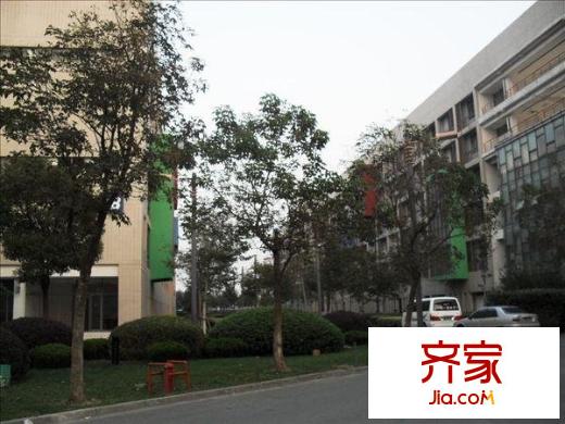 青年匯外景圖  