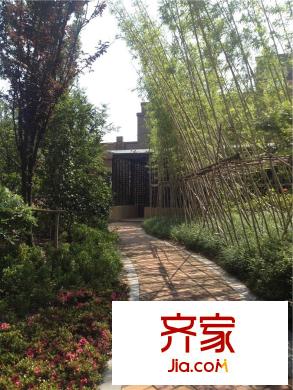 高新地產(chǎn)天之運(yùn)一期景觀實(shí)景2015.6.5