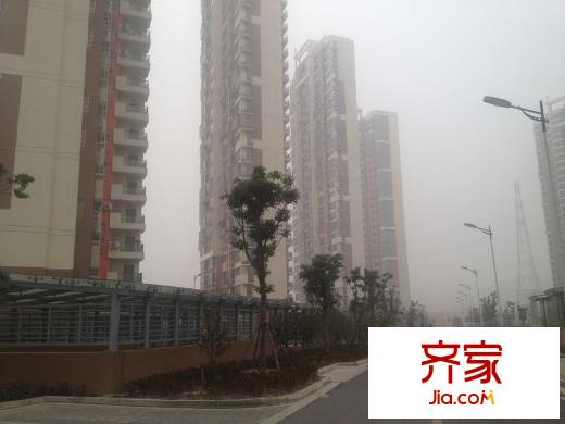 濱江苑外景圖 