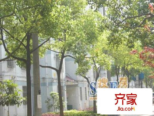 東苑新村外景圖 