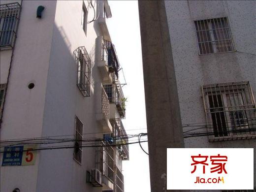 東苑新村外景圖