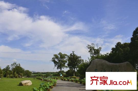 瑜翠園配套圖向南約3千米荷塘月色公園
