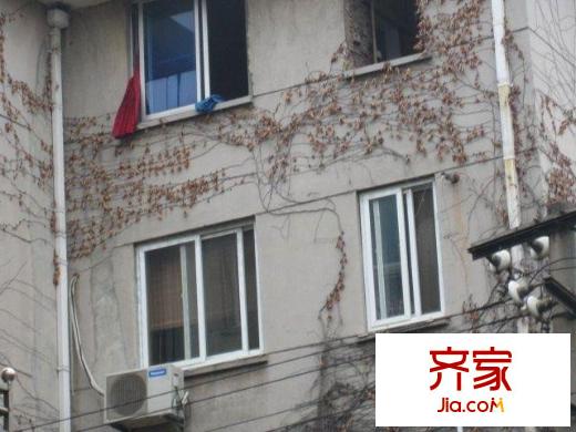 張家浜