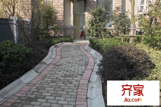 東渡海派青城實(shí)景圖綠化道路2012.12.19