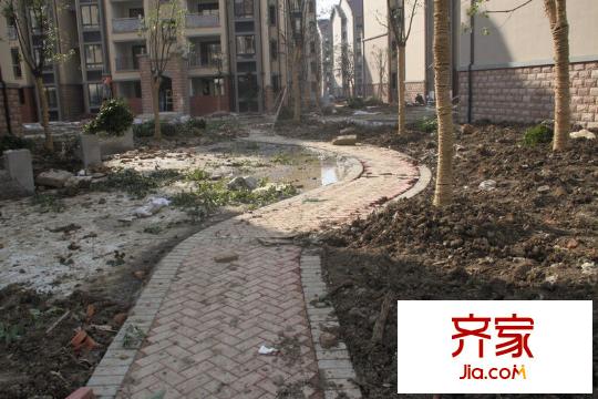 東渡海派青城實(shí)景圖綠化施工圖2012.12.19